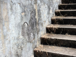 In Terra straniera di Andrea Polzoni 1415 0 In Terra straniera